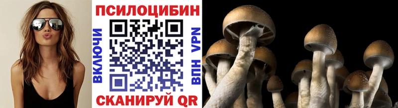 Купить  Крым  Псилоцибиновые грибы прущие грибы 